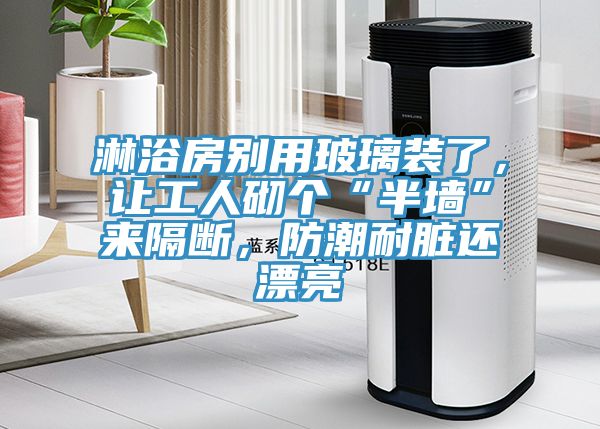 淋浴房別用玻璃裝了，讓工人砌個“半墻”來隔斷，防潮耐臟還漂亮