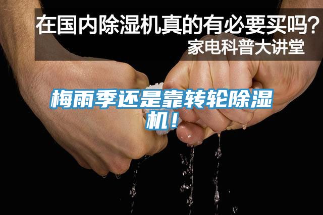 梅雨季還是靠轉輪除濕機！