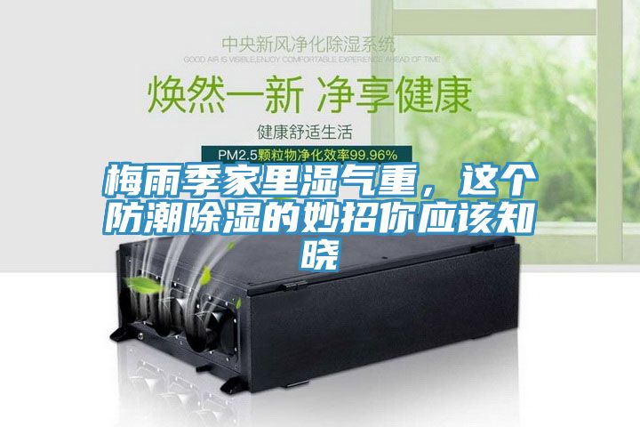 梅雨季家里濕氣重，這個防潮除濕的妙招你應(yīng)該知曉