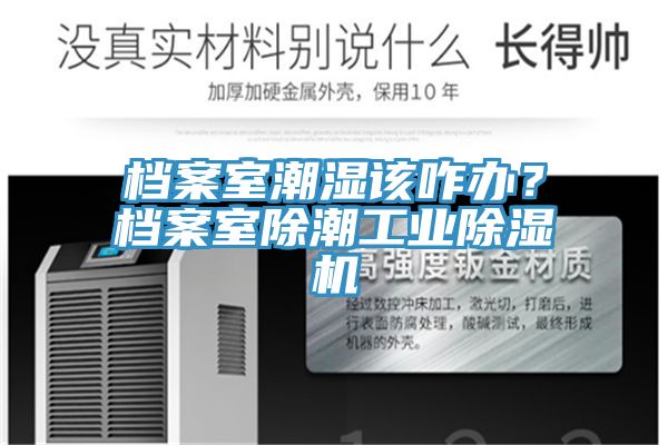 檔案室潮濕該咋辦？檔案室除潮工業(yè)除濕機(jī)