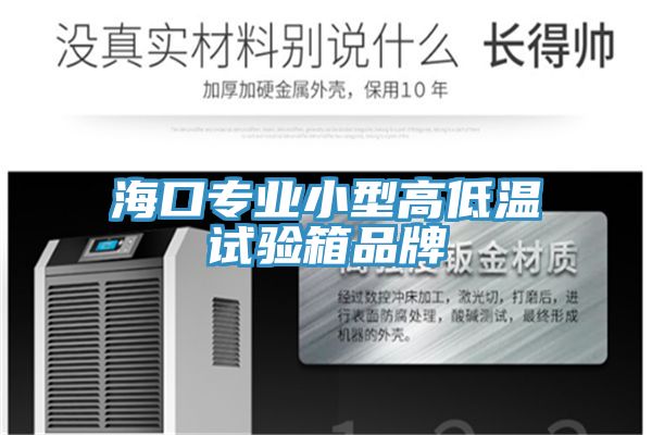 海口專業(yè)小型高低溫試驗箱品牌