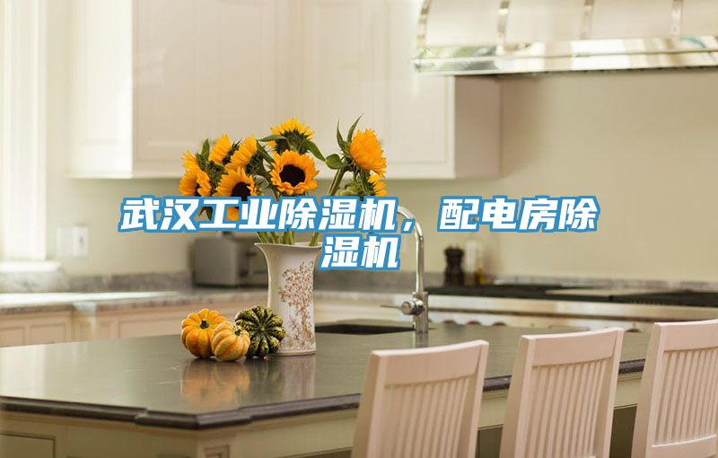 武漢工業(yè)除濕機，配電房除濕機