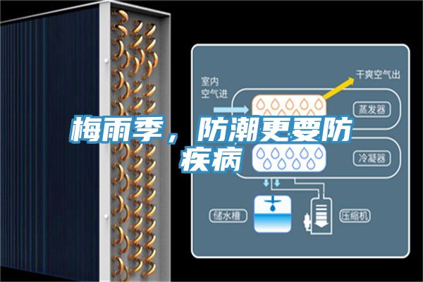 梅雨季，防潮更要防疾病