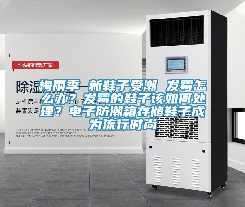 梅雨季 新鞋子受潮 發(fā)霉怎么辦？發(fā)霉的鞋子該如何處理？電子防潮箱存儲(chǔ)鞋子成為流行時(shí)尚