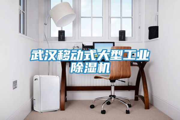 武漢移動式大型工業(yè)除濕機