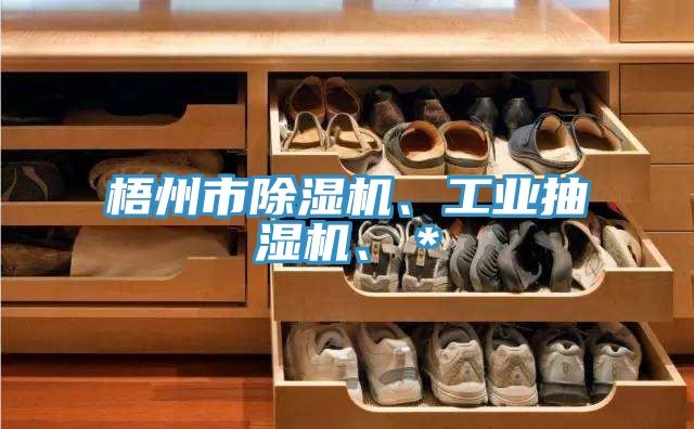 梧州市除濕機、工業(yè)抽濕機、＊