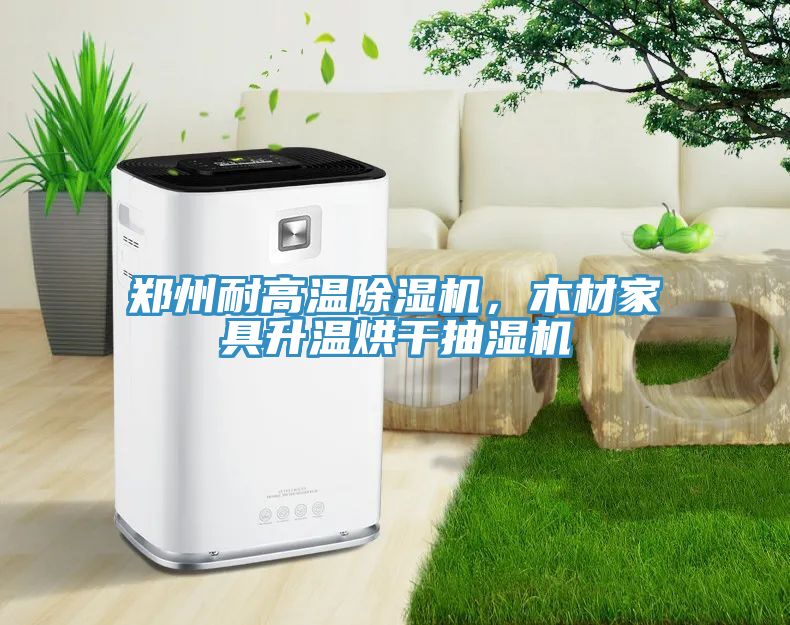 鄭州耐高溫除濕機，木材家具升溫烘干抽濕機