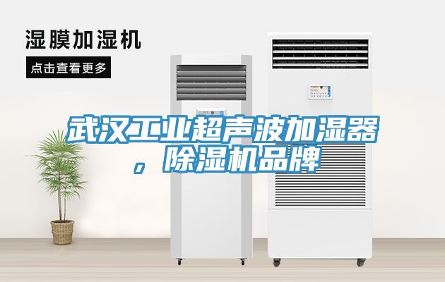 武漢工業(yè)超聲波加濕器，除濕機品牌