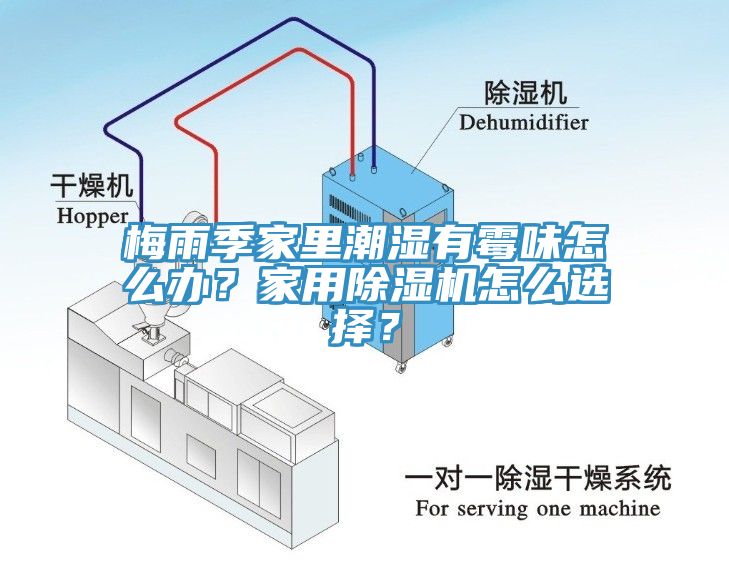 梅雨季家里潮濕有霉味怎么辦？家用除濕機(jī)怎么選擇？