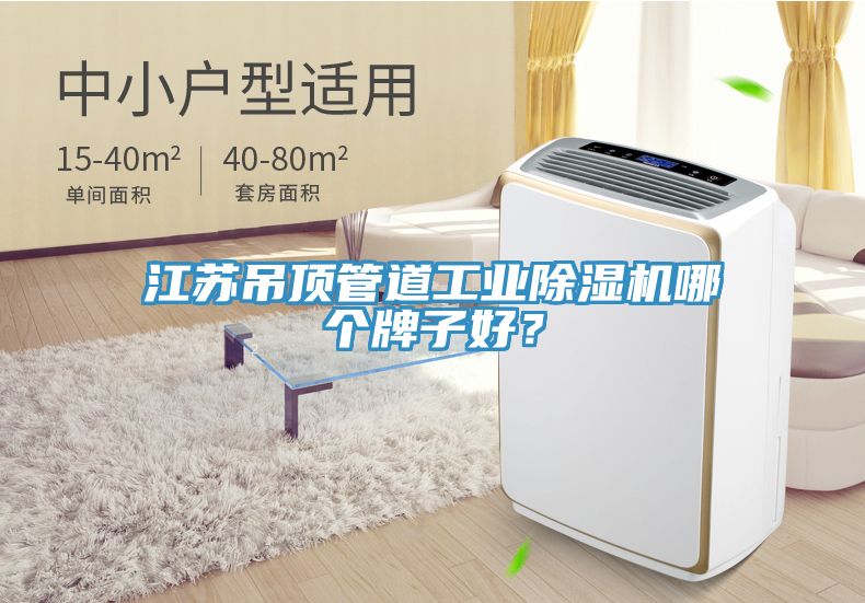 江蘇吊頂管道工業(yè)除濕機哪個牌子好？
