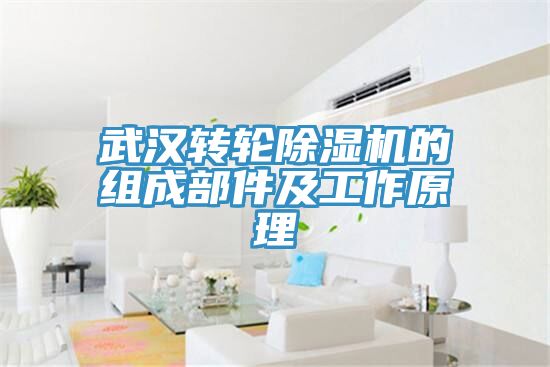 武漢轉(zhuǎn)輪除濕機的組成部件及工作原理