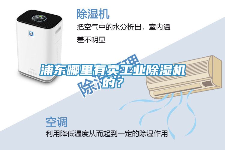 浦東哪里有賣工業(yè)除濕機(jī)的？