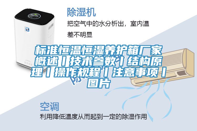 標(biāo)準恒溫恒濕養(yǎng)護箱廠家概述丨技術(shù)參數(shù)丨結(jié)構(gòu)原理丨操作規(guī)程丨注意事項丨圖片