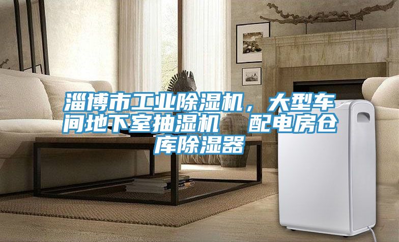 淄博市工業(yè)除濕機(jī)，大型車間地下室抽濕機(jī)  配電房倉庫除濕器