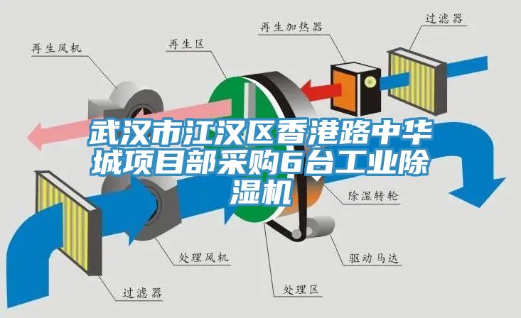 武漢市江漢區(qū)香港路中華城項目部采購6臺工業(yè)除濕機