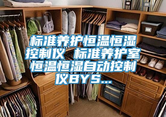 標(biāo)準養(yǎng)護恒溫恒濕控制儀 標(biāo)準養(yǎng)護室恒溫恒濕自動控制儀BYS...