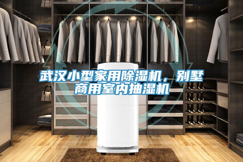 武漢小型家用除濕機(jī)，別墅商用室內(nèi)抽濕機(jī)