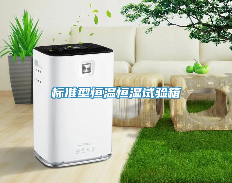 標(biāo)準型恒溫恒濕試驗箱