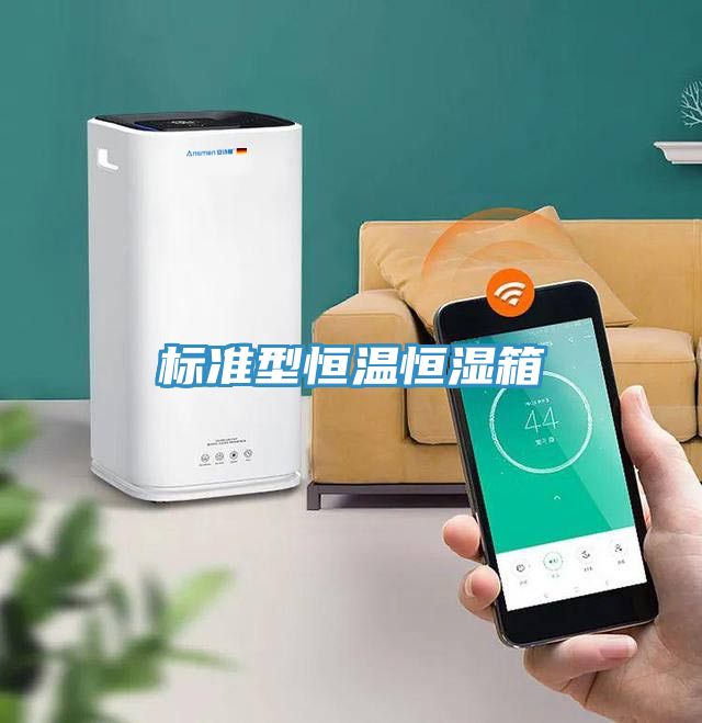 標(biāo)準型恒溫恒濕箱