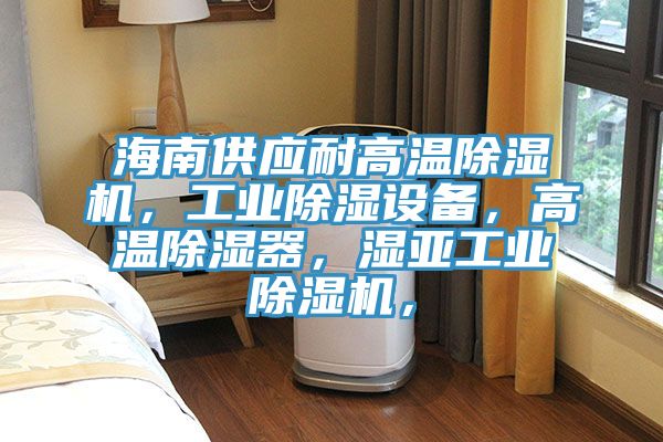 海南供應(yīng)耐高溫除濕機(jī)，工業(yè)除濕設(shè)備，高溫除濕器，濕亞工業(yè)除濕機(jī)，