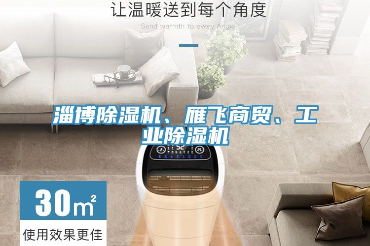 淄博除濕機(jī)、雁飛商貿(mào)、工業(yè)除濕機(jī)