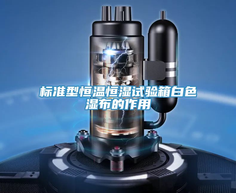 標(biāo)準型恒溫恒濕試驗箱白色濕布的作用