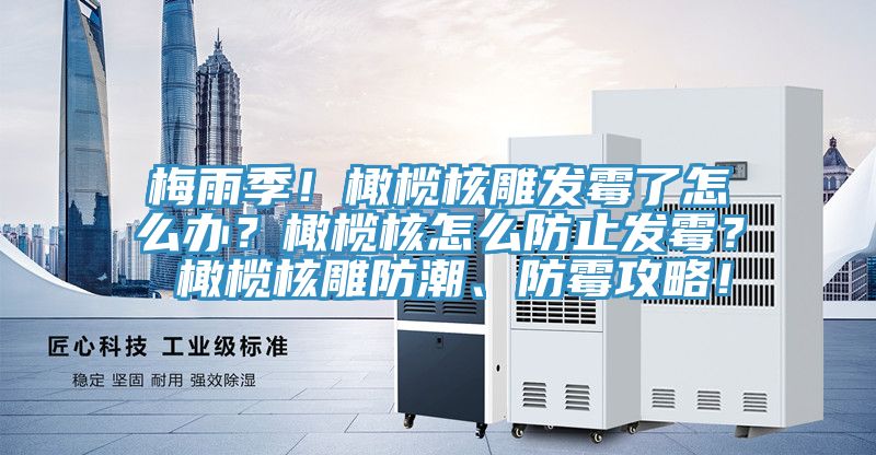 梅雨季！橄欖核雕發(fā)霉了怎么辦？橄欖核怎么防止發(fā)霉？ 橄欖核雕防潮、防霉攻略！