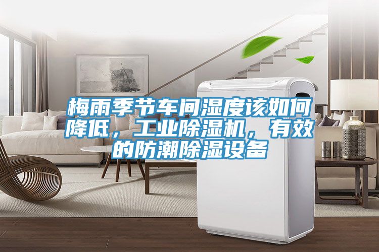梅雨季節(jié)車間濕度該如何降低，工業(yè)除濕機，有效的防潮除濕設備