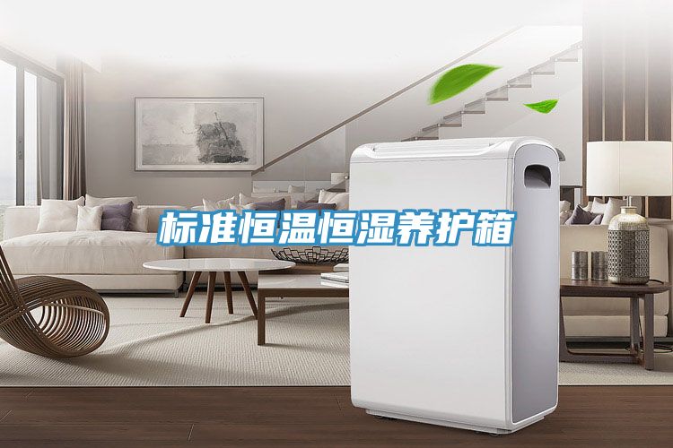 標(biāo)準恒溫恒濕養(yǎng)護箱