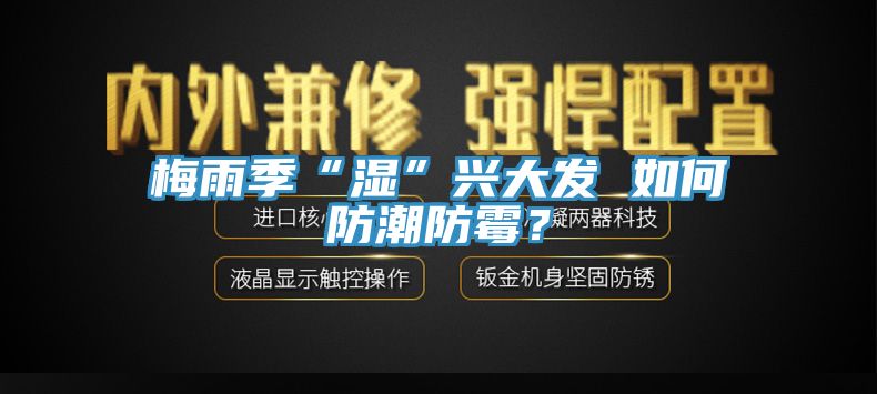 梅雨季“濕”興大發(fā) 如何防潮防霉？
