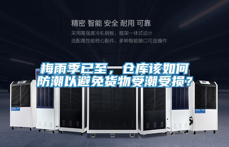 梅雨季已至，倉庫該如何防潮以避免貨物受潮受損？