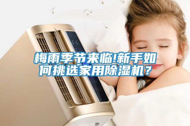 梅雨季節(jié)來臨!新手如何挑選家用除濕機？