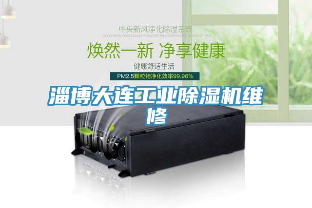 淄博大連工業(yè)除濕機維修