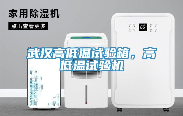 武漢高低溫試驗(yàn)箱，高低溫試驗(yàn)機(jī)