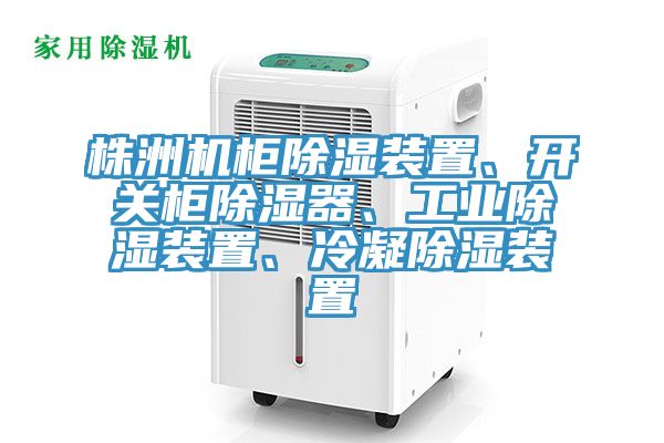 株洲機(jī)柜除濕裝置、開關(guān)柜除濕器、工業(yè)除濕裝置、冷凝除濕裝置
