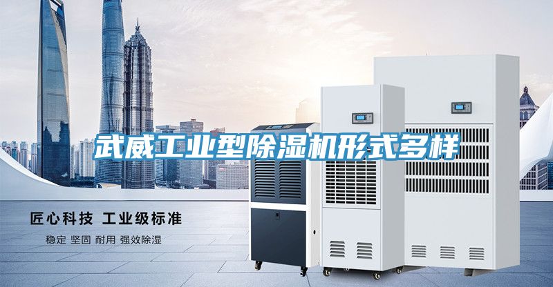 武威工業(yè)型除濕機(jī)形式多樣