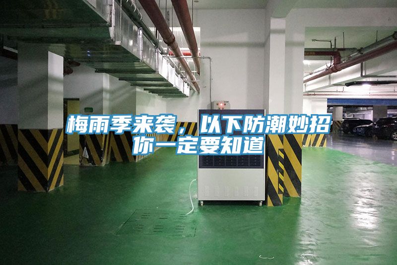 梅雨季來襲，以下防潮妙招你一定要知道