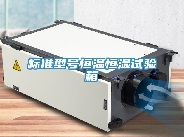 標(biāo)準型號恒溫恒濕試驗箱