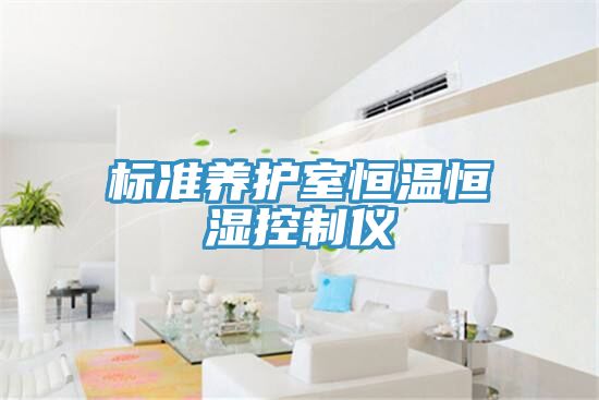 標(biāo)準養(yǎng)護室恒溫恒濕控制儀