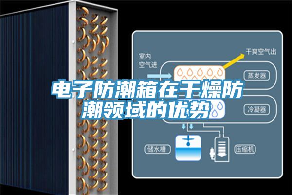 電子防潮箱在干燥防潮領域的優(yōu)勢