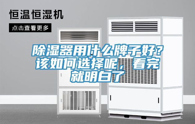 除濕器用什么牌子好？該如何選擇呢，看完就明白了