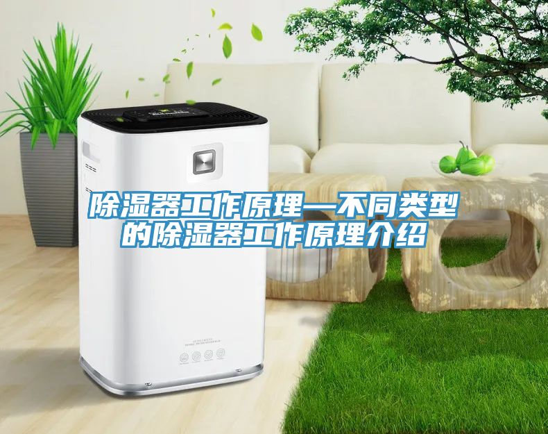 除濕器工作原理—不同類型的除濕器工作原理介紹