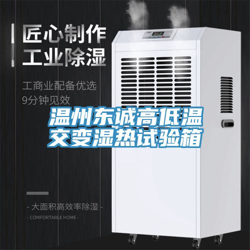 溫州東誠(chéng)高低溫交變濕熱試驗(yàn)箱