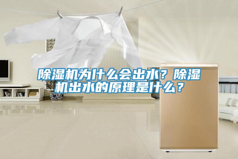 除濕機(jī)為什么會(huì)出水？除濕機(jī)出水的原理是什么？