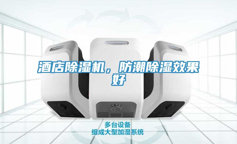 酒店除濕機(jī)，防潮除濕效果好