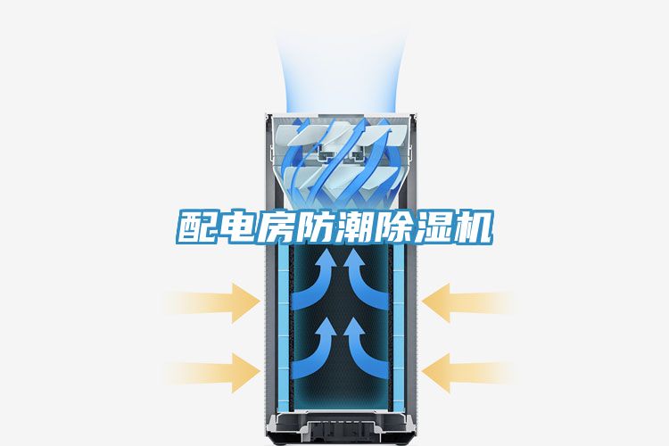 配電房防潮除濕機(jī)