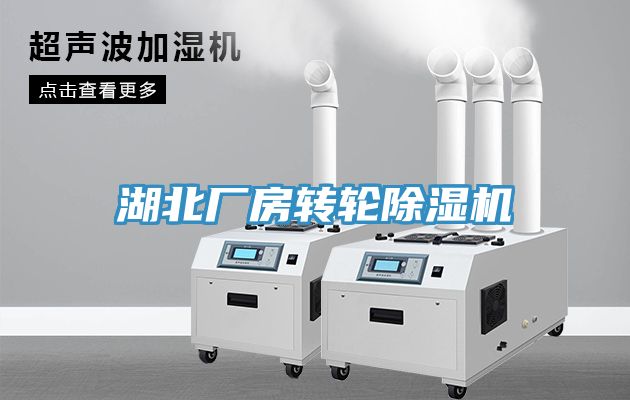 湖北廠房轉(zhuǎn)輪除濕機