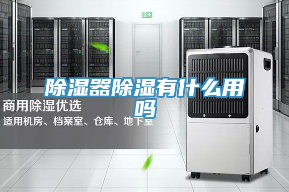 除濕器除濕有什么用嗎