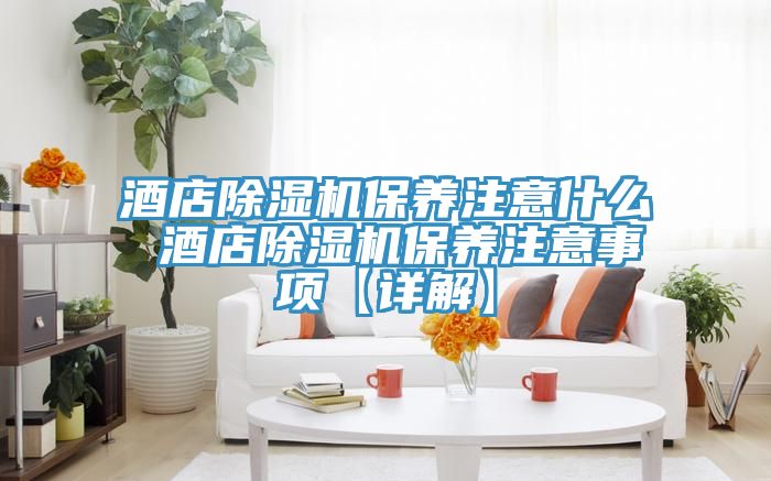 酒店除濕機(jī)保養(yǎng)注意什么 酒店除濕機(jī)保養(yǎng)注意事項(xiàng)【詳解】