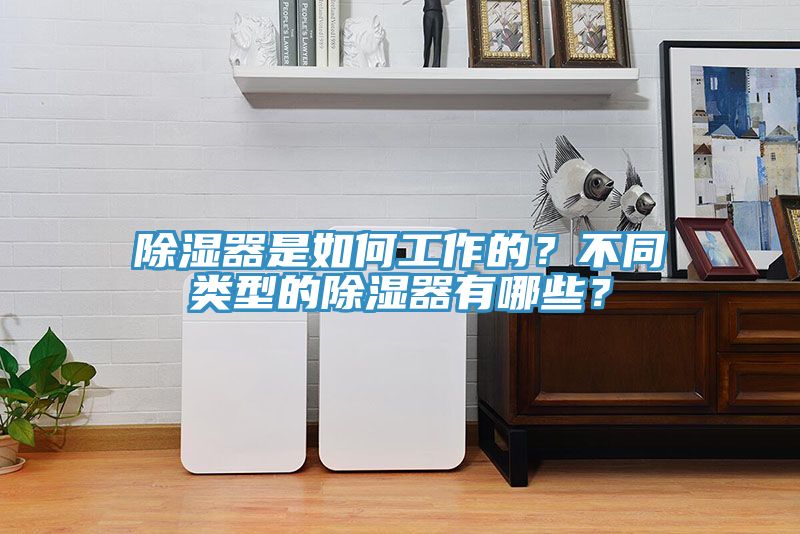 除濕器是如何工作的？不同類型的除濕器有哪些？